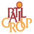 Patil Rail Infrastructure logo